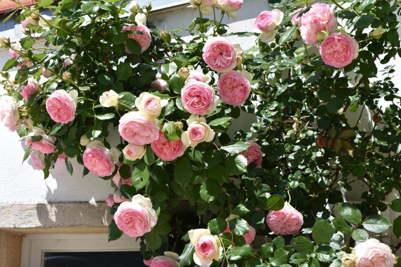 La Jarrie Leduc Bed & Breakfast エクステリア 写真